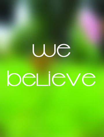 What we believe